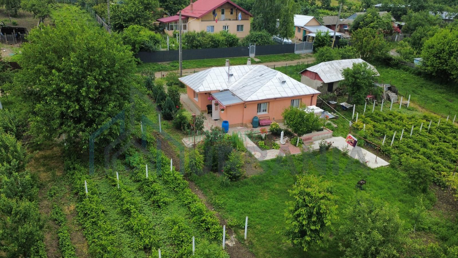 Casă renovată, teren 3.200 mp cu livadă și vie – Comuna Popești, sat Obrijeni, județul Iași - Poză 1