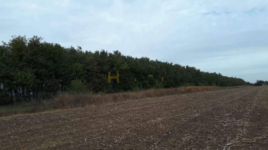 Teren Gruiu sat Lipia - Poză 2