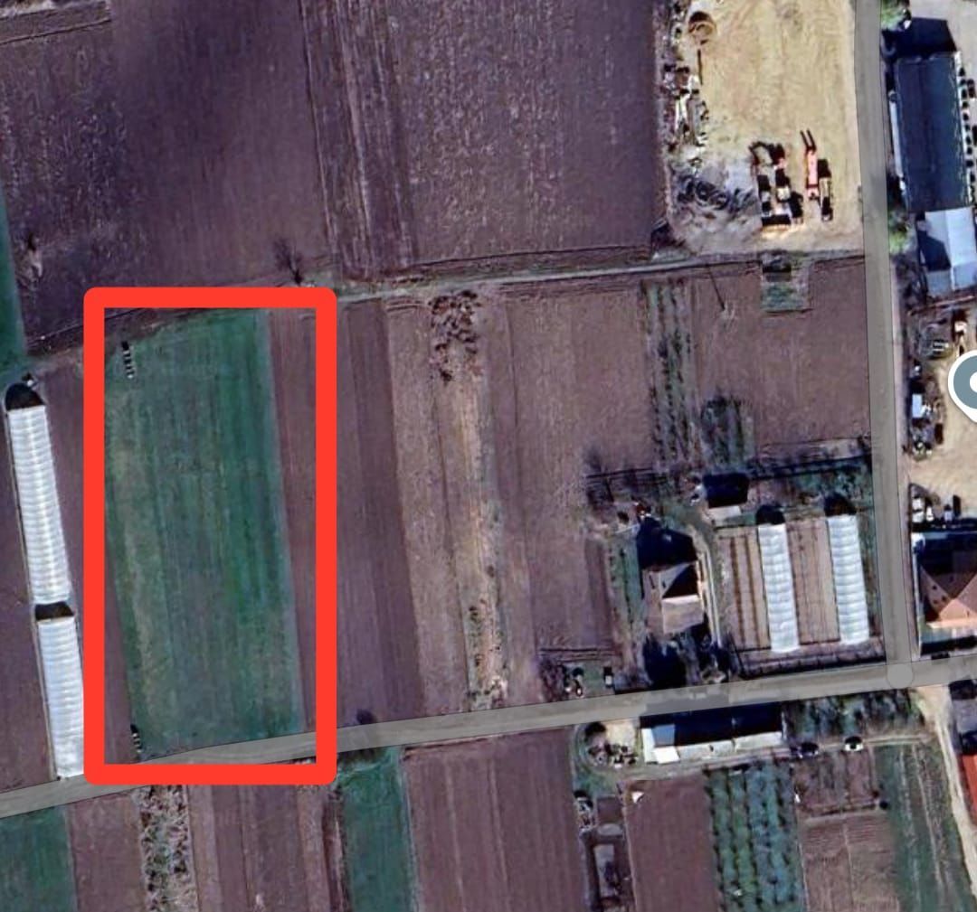 Teren intravilan in Bors - Poză 2