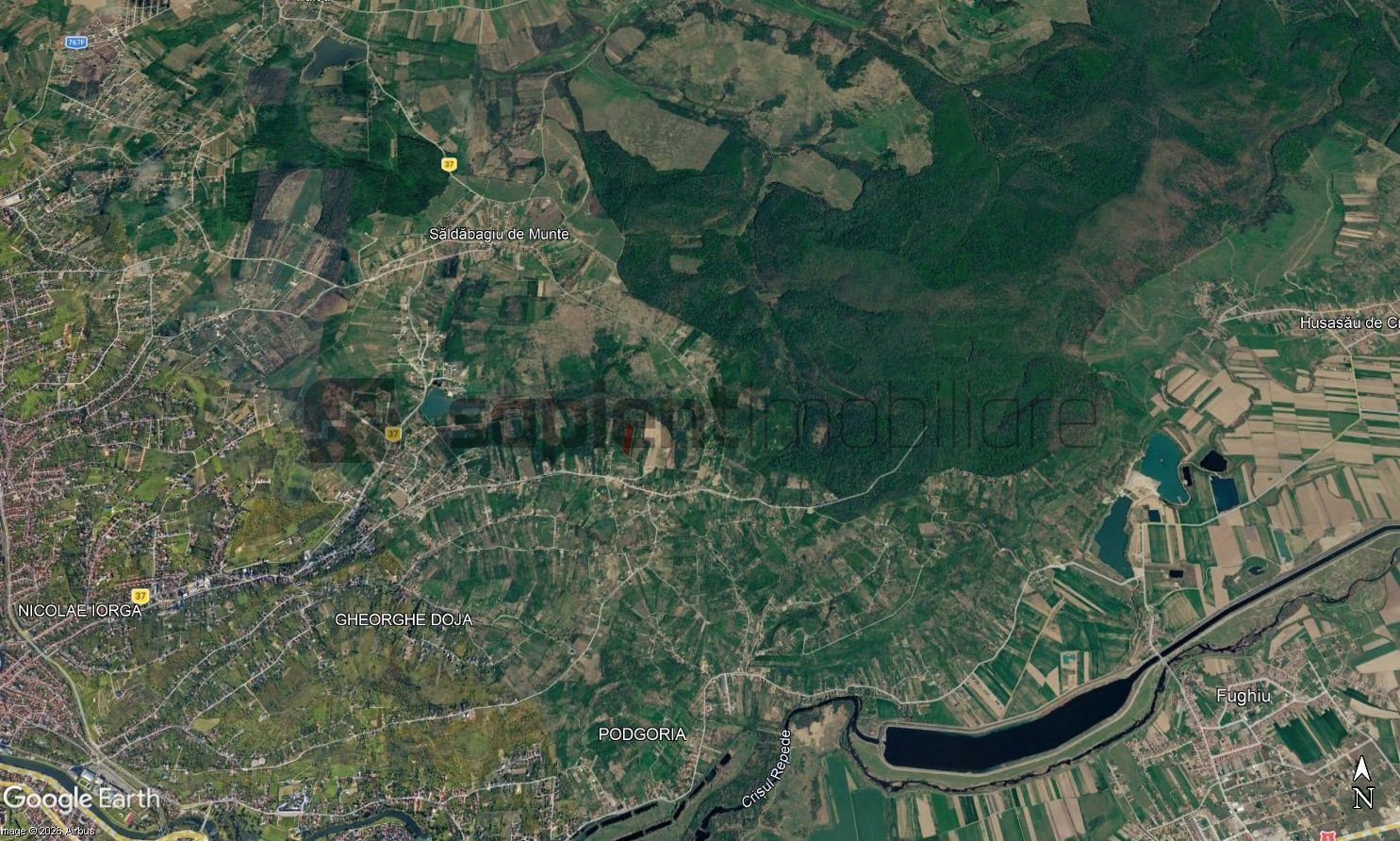 Sapient | Teren intravilan în Săldăbagiu de Munte 4.316 mp - Poză 5
