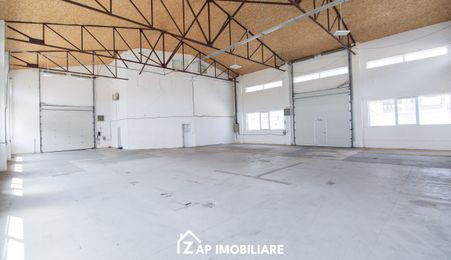 Hală 360 mp - Pardoseală Elicopterizată - Acces TIR & Curent Trifazic