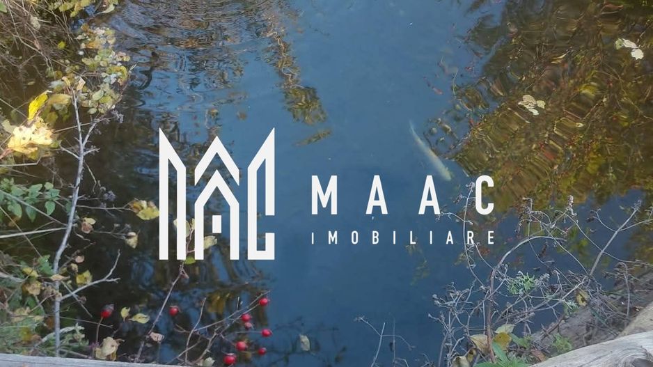 Super ofertă 35000 teren in Muntii Apuseni - Poză 5