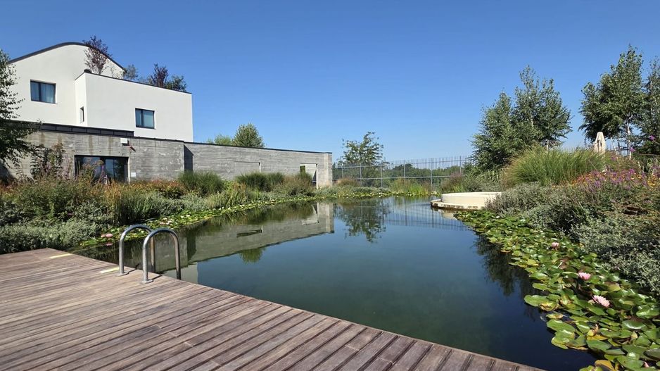 Chirie I Apartament 2 camere I Avalon Estates I Designer I Sala I Paza - Poză 17