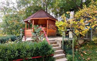 Proprietate deosebită | Casă P+E | Lunca Mare, Valea Doftanei - Poză 3