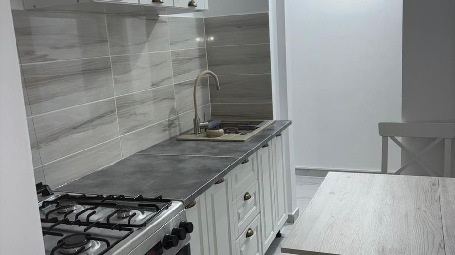 Apartament 3 Camere renovat Raul Doamnei, Drumul Taberei - Poză 6