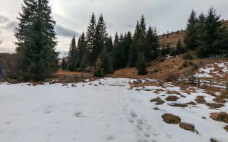 7.858 mp Teren Rar cu Pârâu și Izvoare, Beliș-Fântânele, Cluj - Poză 1