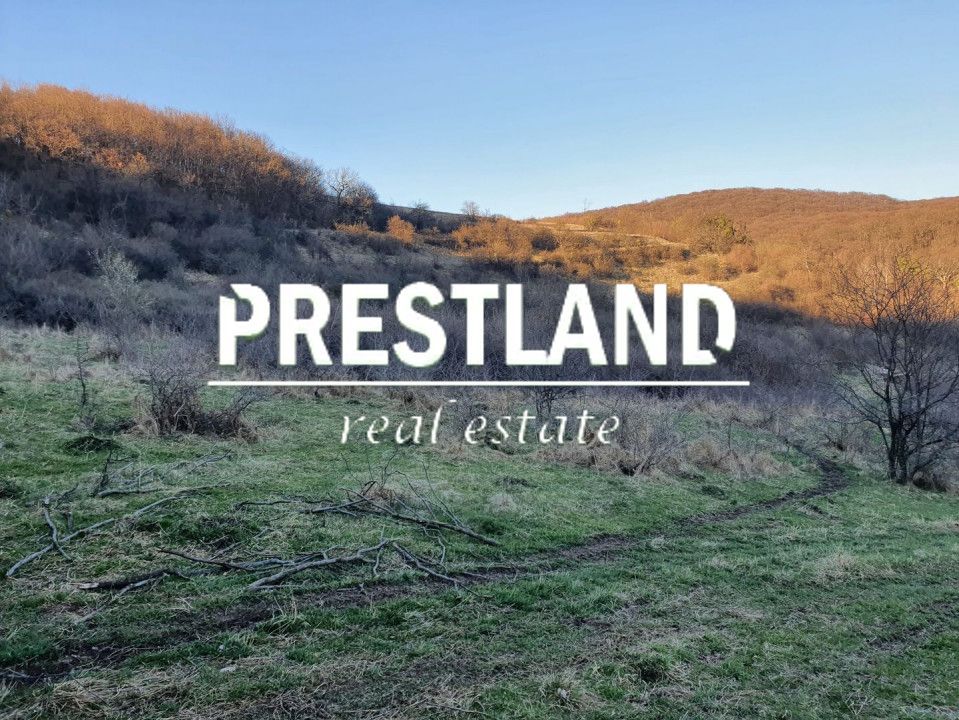 Teren 46.300 mp-zona Gușterița!! - Poză 7