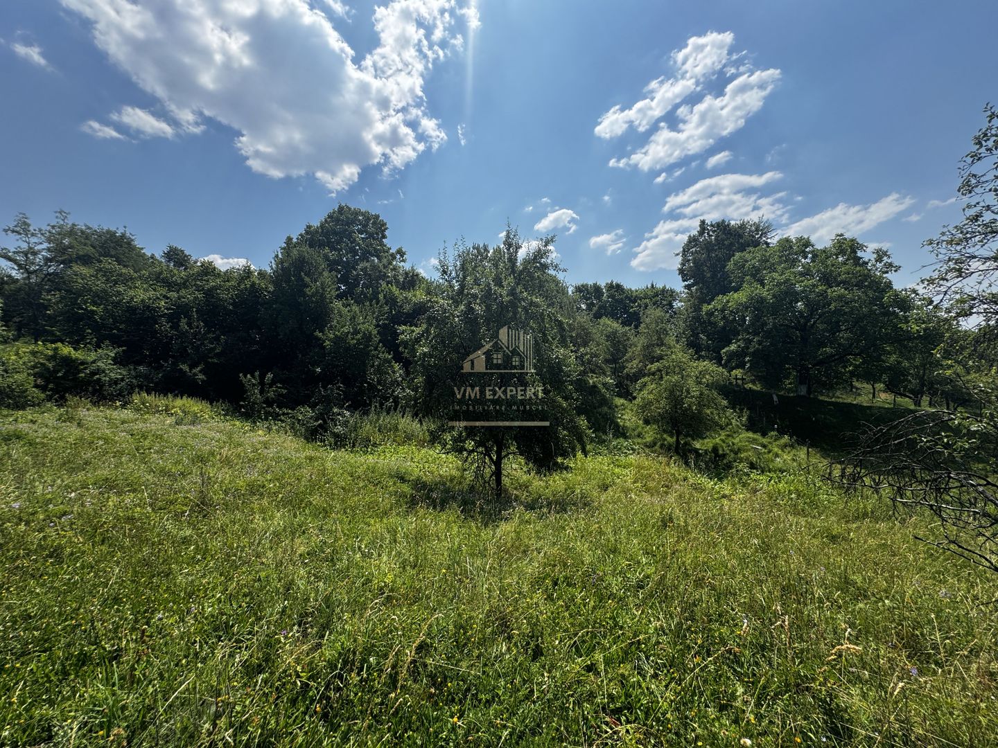 TEREN INTRAVILAN 2146 MP, ALBESTII DE MUSCEL, ARGES - Poză 1