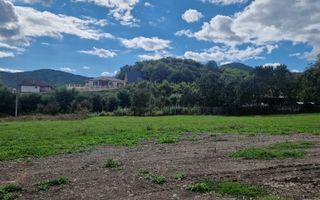 Teren intravilan/extravilan, 5 parcele - Viisoara - Poză 3