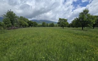 teren intravilan - 2 minute de centru Prundu Bargaului - 26 parcele - Poză 5