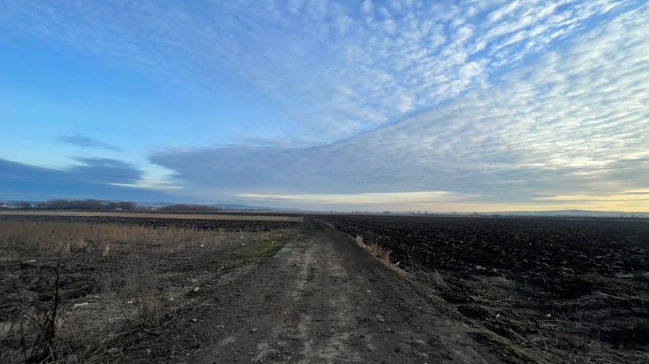 TEREN EXTRAVILAN | 82 ARI | PERIFERIA ORASULUI - Poză 4