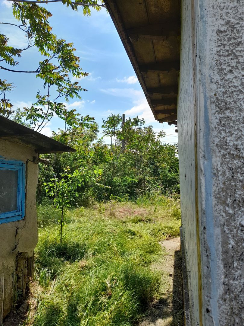 Casă cu teren de 1.470 mp de vânzare – Fântânele, Scânteiești - Poză 34