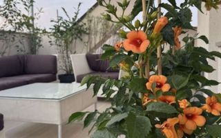 BLOC NOU ULTRALUX 3 CAMERE + TERASA PANORAMICA TIMPURI NOI + PARCARE - Poză 17