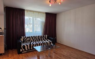 Garsonieră spațioasă Ozana, parcare, centrală proprie, balcon, pet friendly - Poză 4