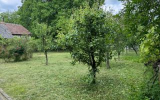 Teren 900 mp I intravilan I Zona Calea Dumbrăvii - Poză 5