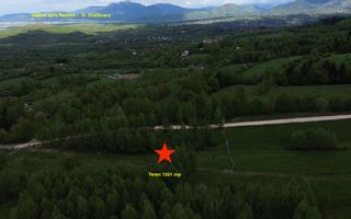 Teren intravilan 5.261 mp Tohănița | Deschidere 49 m | Utilități, lângă pădure - Poză 4