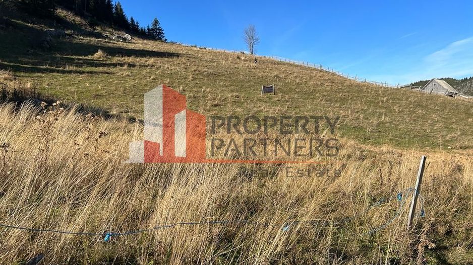 Teren Fundatica intravilan 4500 mp - Poză 12