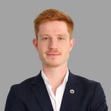 Dariu Dinca - THE BLACK SWAN