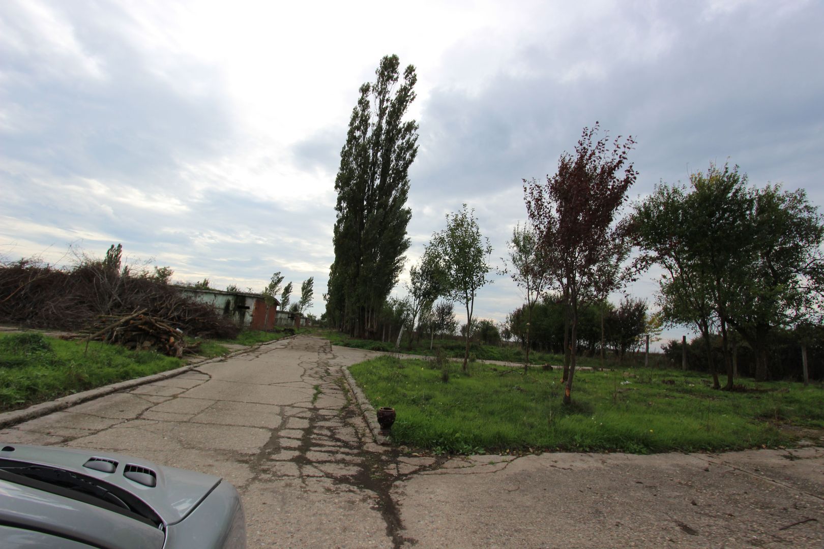 Vanzare hale Mosnita Noua-fosta Ferma 7 - Poză 17