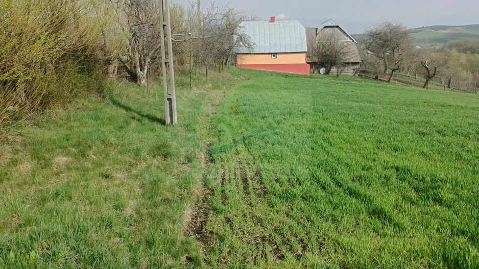 Teren intravilan Ilișești/Suceava - Poză 1