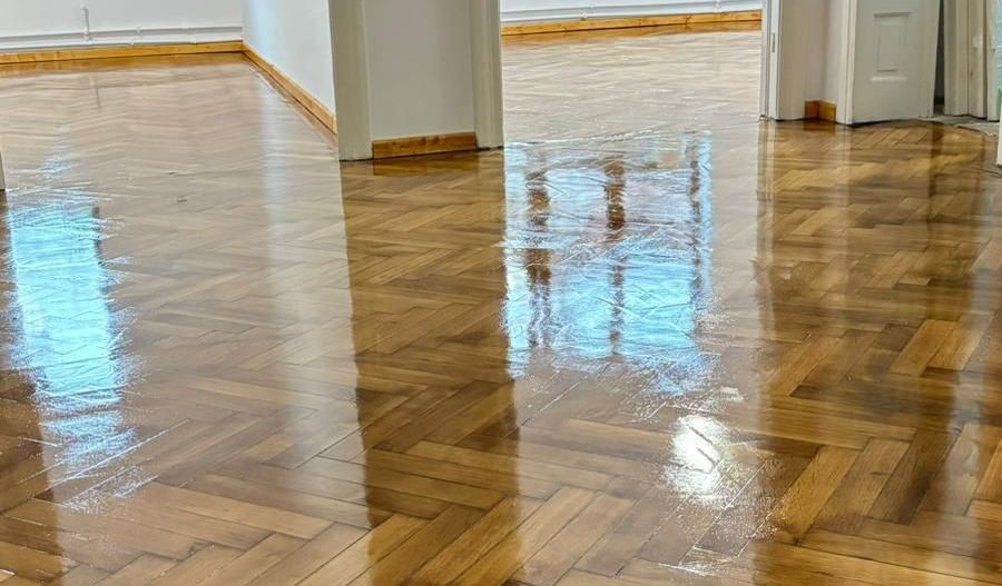 Ag BRASADAS vinde vila 8 camere Parcul Carol - Poză 4