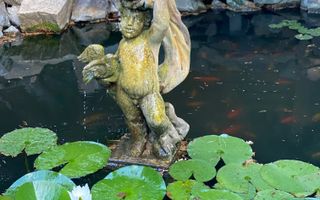 Vila in Braytim cu piscina - Poză 28