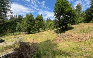 Teren intravilan 1074 mp cu utilitati-ideal pensiune, cabane-Colibita - Poză 2