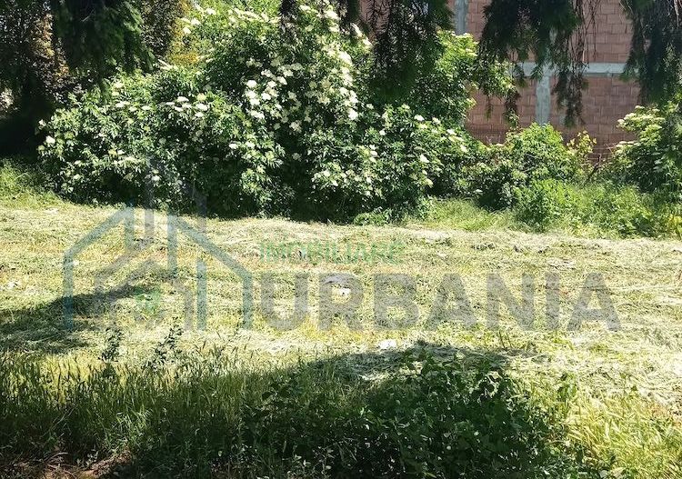 Teren intravilan 11.000 mp și casă 200 mp – Târgu Frumos - Poză 1