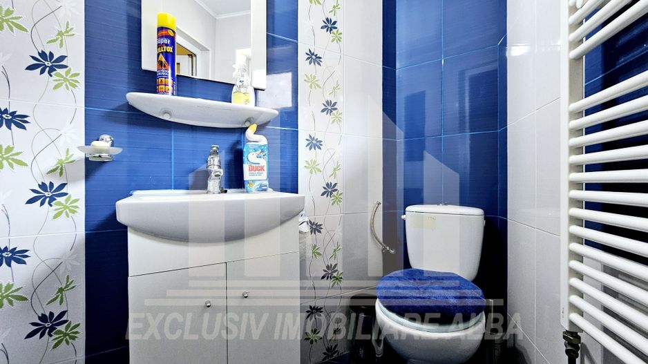 Casa de vacanta cu potential de Pensiune Turistica, Ramet - Poză 13