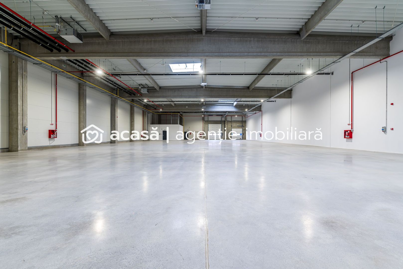 1202 mp - Hala industriala de inchiriat in Parc Industrial Arad - Poză 3