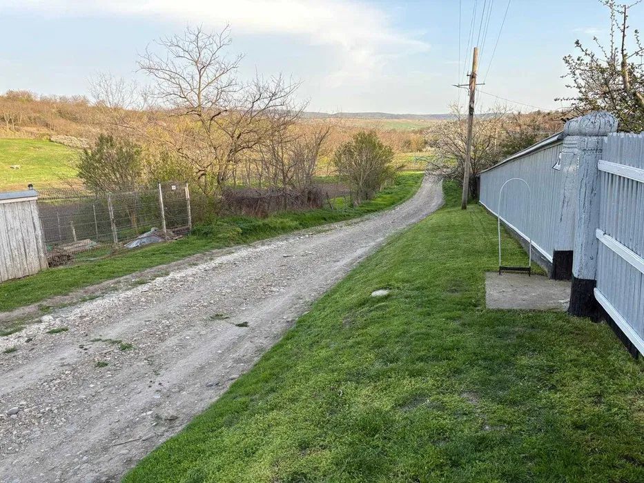 Gospodarie traditionala in localitatea MÎNJEȘTI, la 10 km de Vaslui; - Poză 2