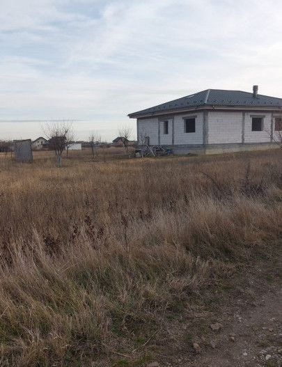 Oferta Teren Bradu - Poză 1