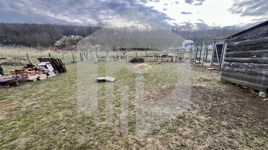 Casa Mohu+terasa inchisa- teren 800 mp - Poză 16