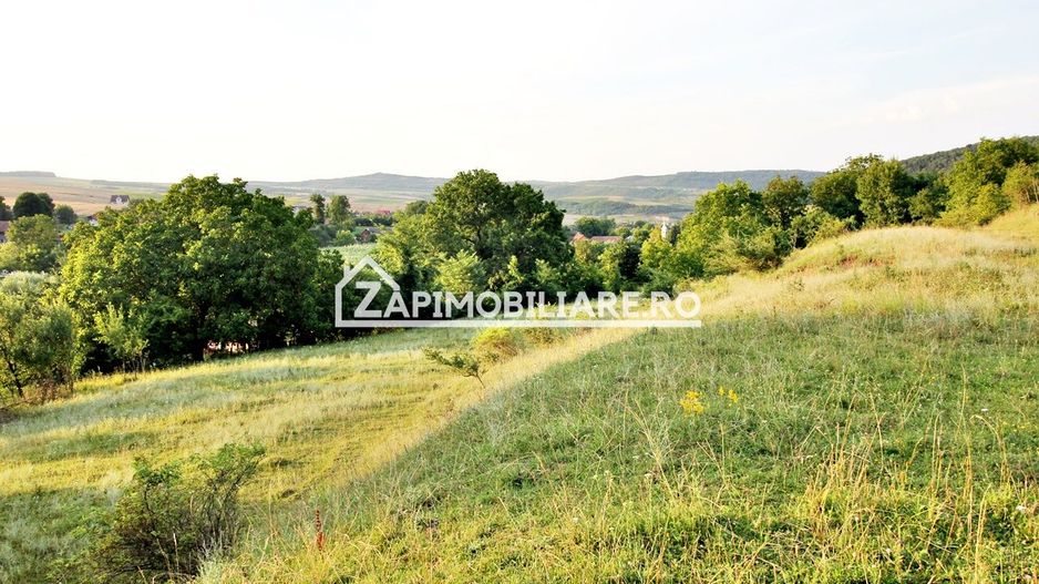 Teren Intravilan,5.000mp cu utilităti si proiect casă 12e mp - Poză 7
