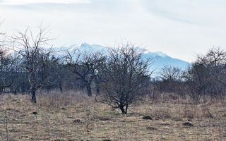 Teren intravilan pentru Investitie!!!,933mp in Ghimbav, 50 euro/mp neg. - Poză 6