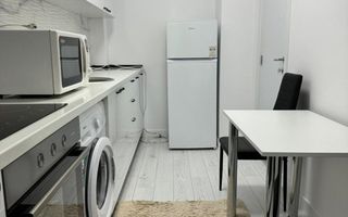 Garsoniera- Teodor Pallady - Poză 3