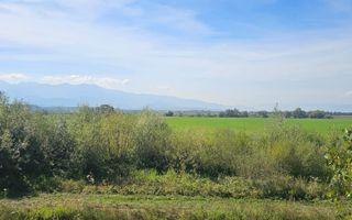 Teren 3.500 mp | Lângă canalul Oltului  | Porumbacu de Jos - Poză 3