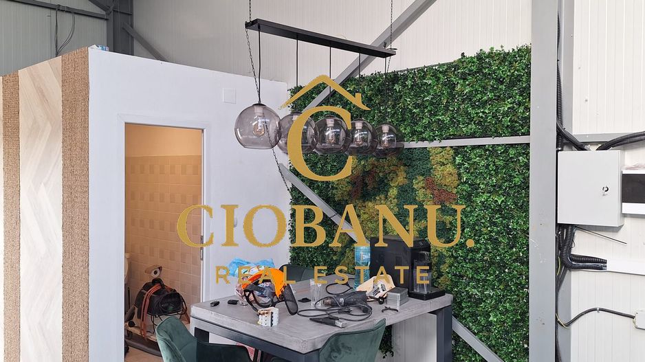 Hala de vanzare in Racarii de Jos - Poză 8