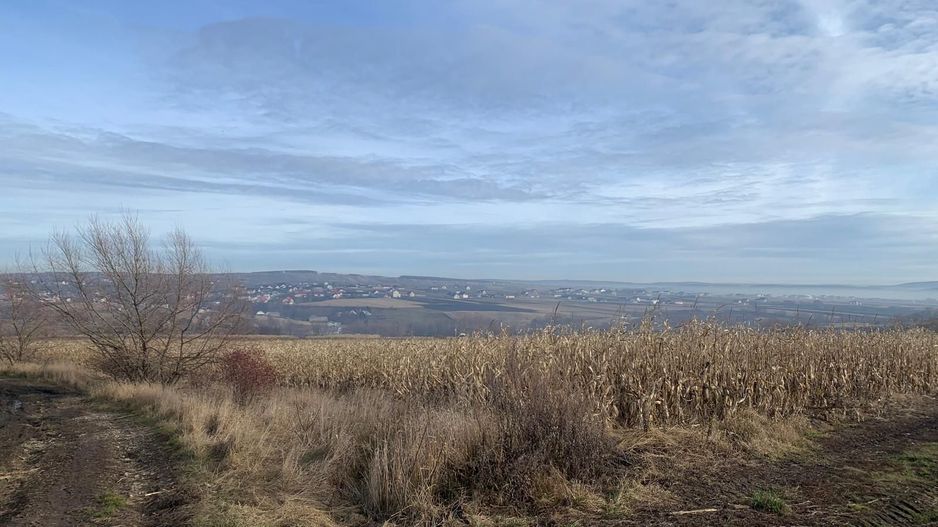 Teren intravilan de vânzare | Cajvana | 7.800 mp - Poză 4