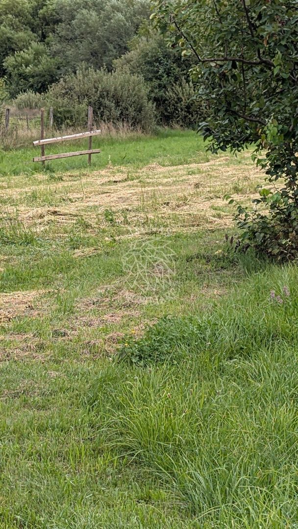 Teren intravilan 7727 mp-Parcelabil-utilitati-Bistrita Bargaului - Poză 2