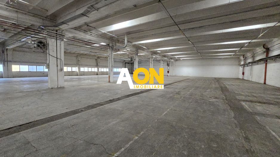 Hala 2750mp Utili Zona Centrala, 2800mp Teren - Poză 6