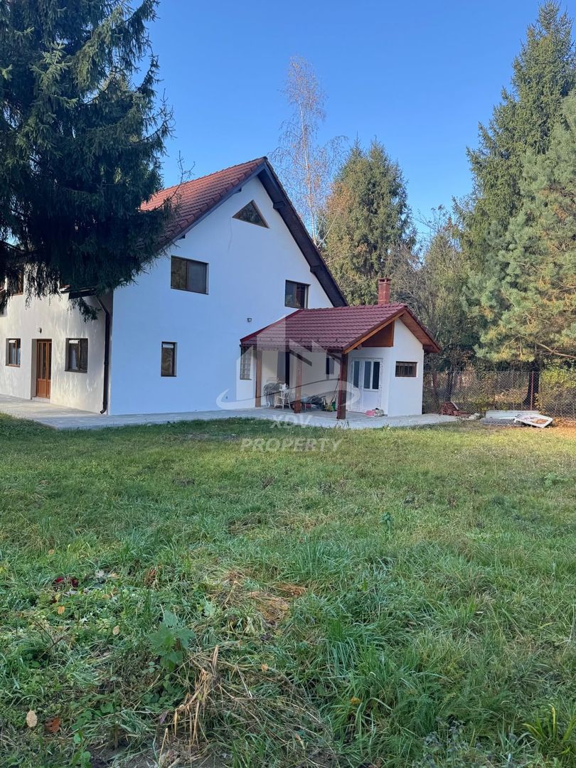 Pensiune/ Vila Valea Avrigului - Poză 4