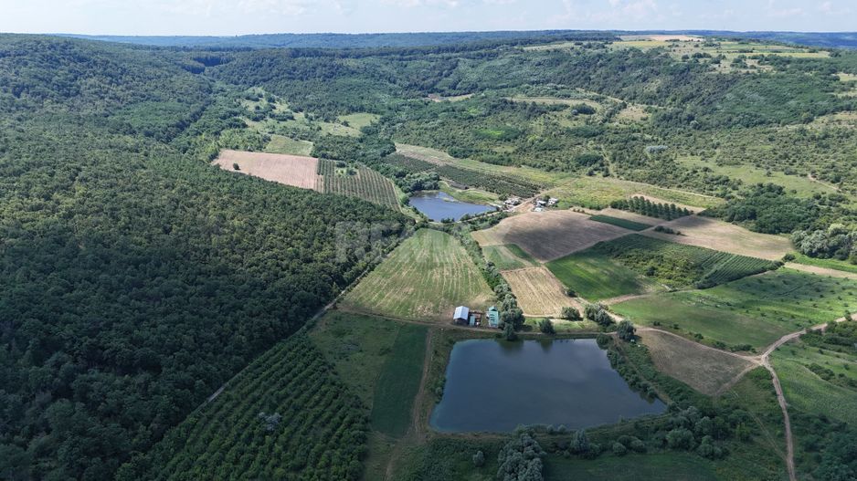 Teren de 6.2 Hectare cu Iaz propriu, lângă pădure – Vorniceni, Strășeni! - Poză 3