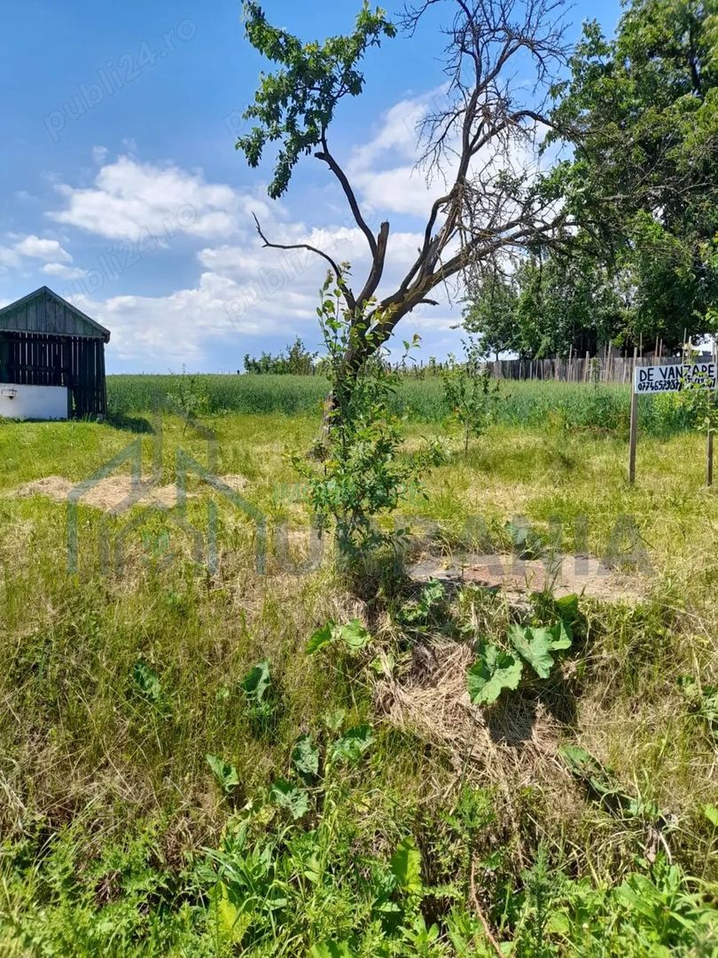 Teren constructie casa - Poză 3