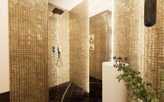 Casă cu piscină și ieșire la lacul Snagov - Poză 13