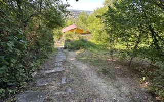 1400 mp/Panorama asupra Parcului Central - Poză 9