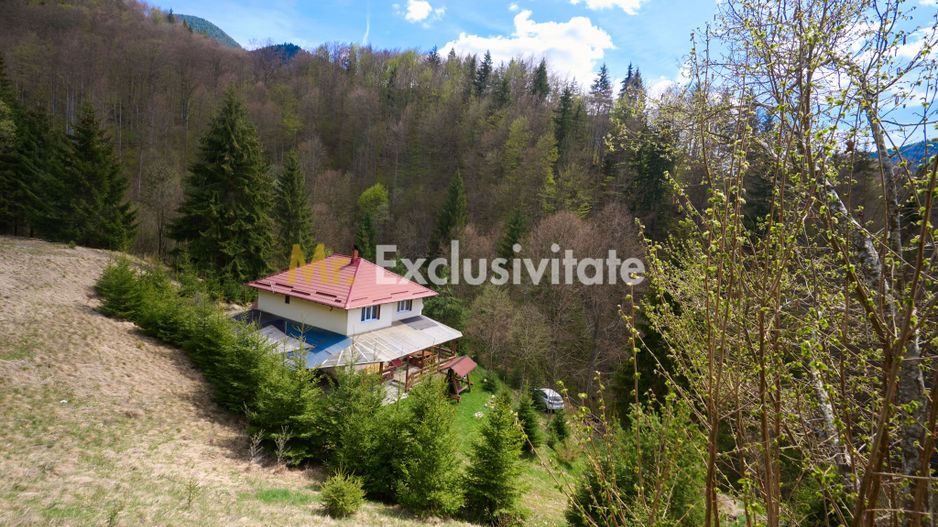 Casa de vacanta sau pensiune in Dâmbovicioara 5 camere, 5 bai, 6412 mp teren - Poză 5