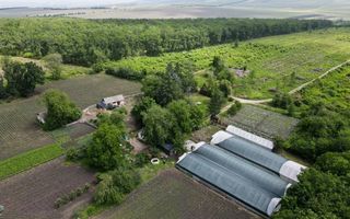 Vânzare, teren, 1.74 ha, satul Bilicenii Noi, raionul Sîngerei - Poză 1