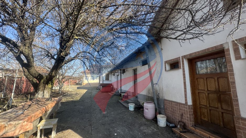 Proprietate deosebita in Filiasi - Poză 21