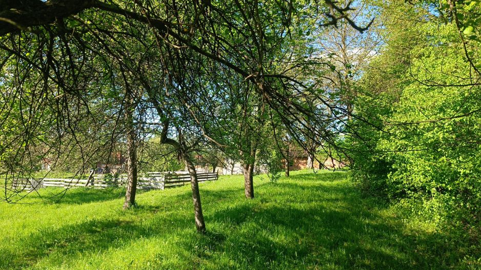 Descoperă căsuța ta de vis la poalele Munților Apuseni - Poză 22